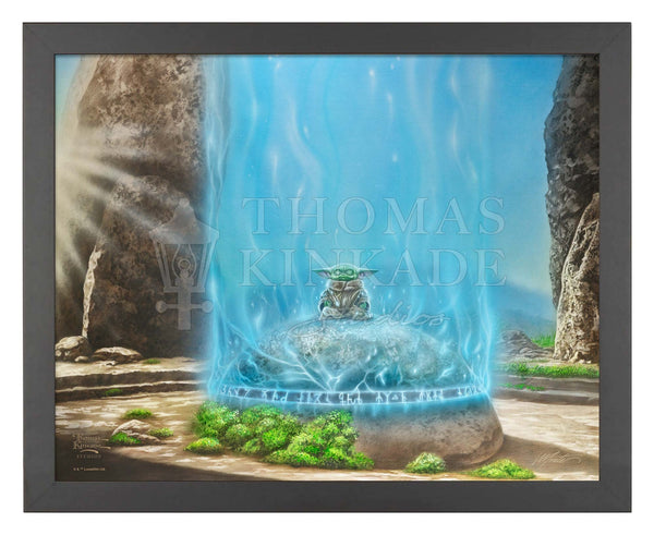 The Mandalorian™ -  A Force Within