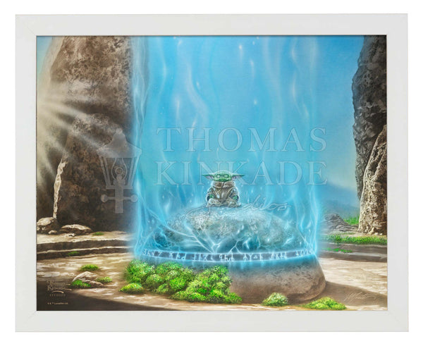 The Mandalorian™ -  A Force Within