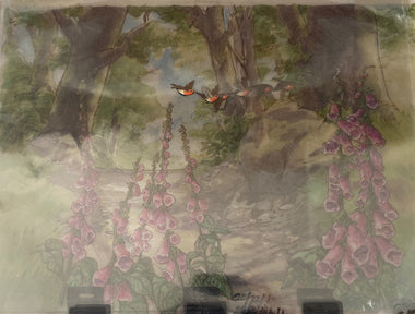 Peter Rabbit - Robins