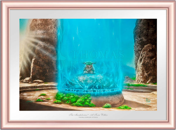 The Mandalorian™ -  A Force Within