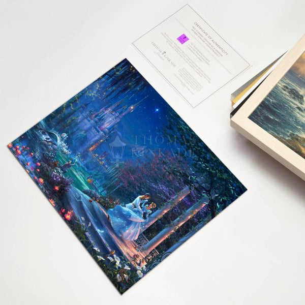 Disney Cinderella Dancing in the Starlight