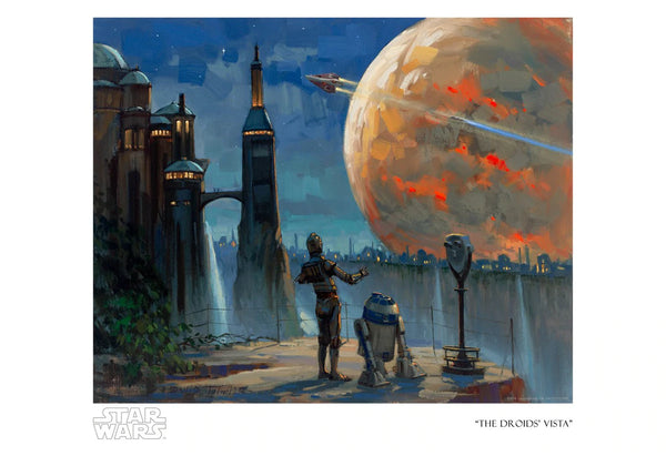 The Droids' Vista
