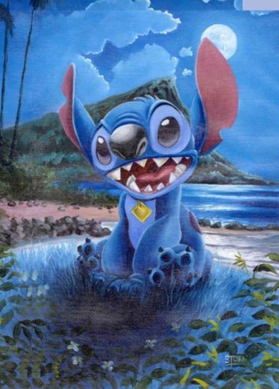 Stitch in the Moonlight