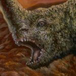 The Mandalorian™ – The Mudhorn™